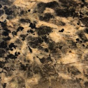 Meet your Posher, Gwyn